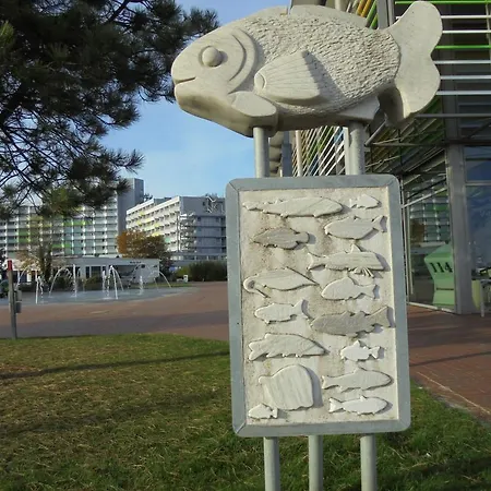 Ostseestern * דאמפ
