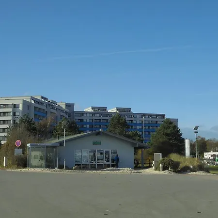 Ostseestern דאמפ