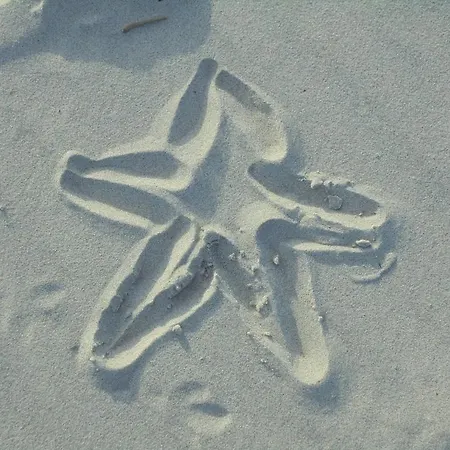 דירה Ostseestern *