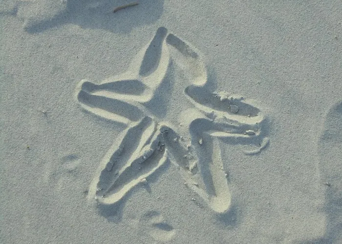 Apartamento Ostseestern *